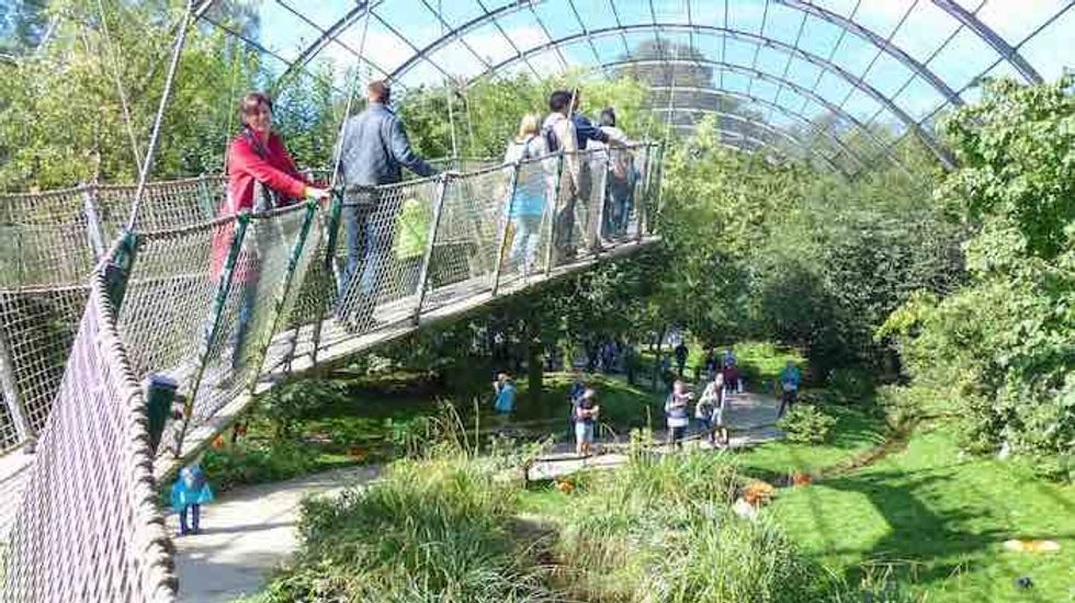 Pairi-Daiza-walkway belgian attraction zoo. F