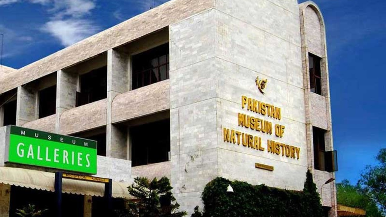 Pakistan Museumof Natural History EOI seeks architects engineers