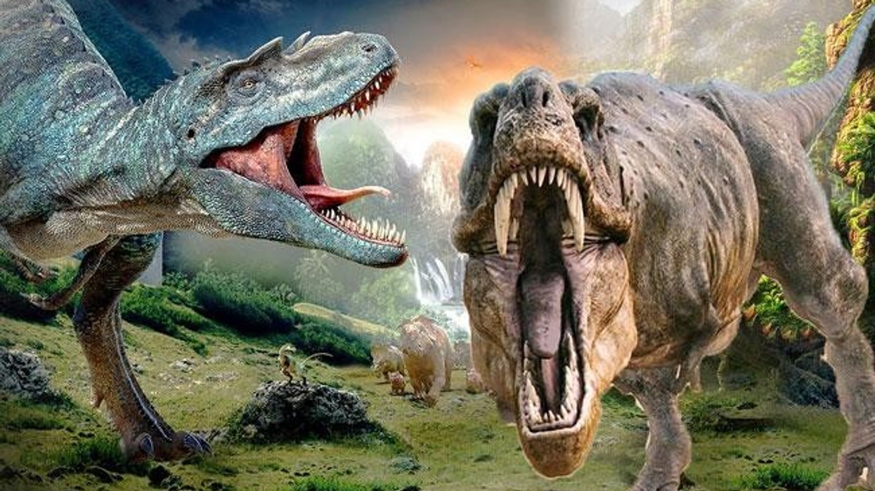 Pakistan's First Dinosaur Theme Park Opens in Karachi