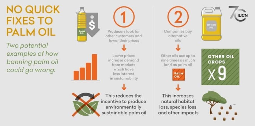 Palm oil banning not a solution