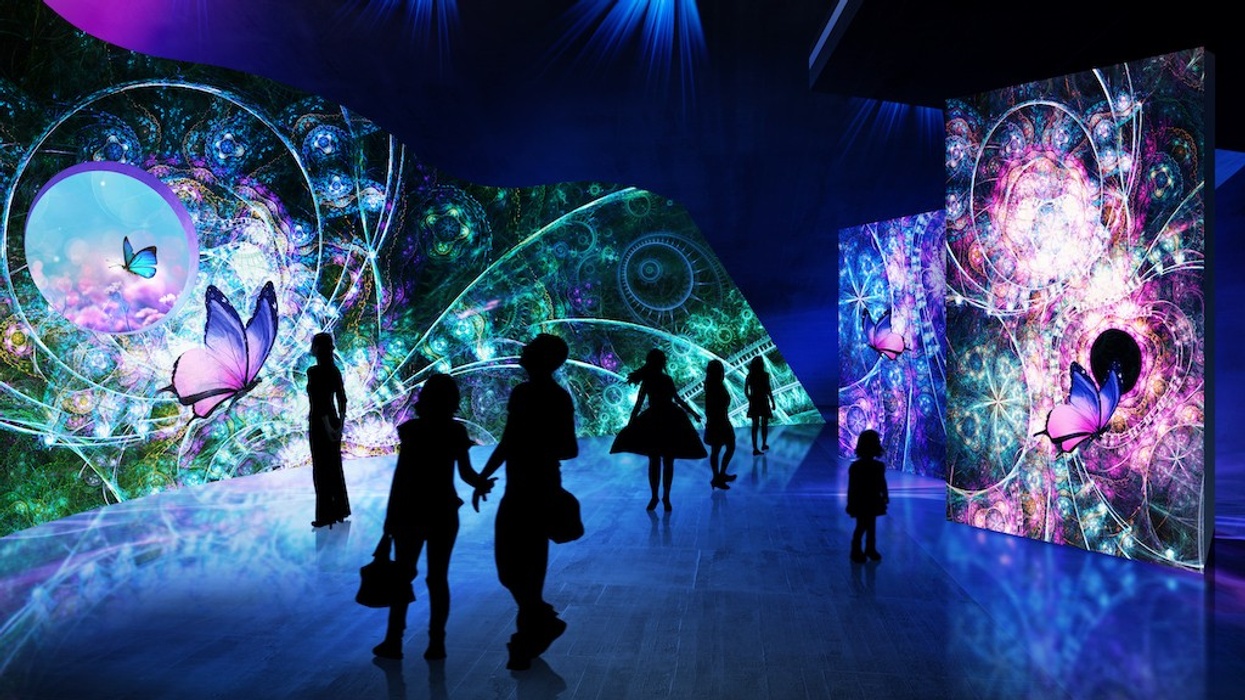 Panasonic immersive experience