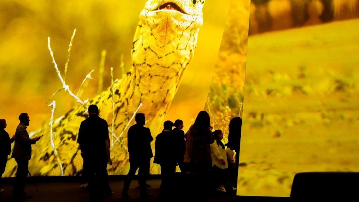Panasonic sustainable immersive experiences