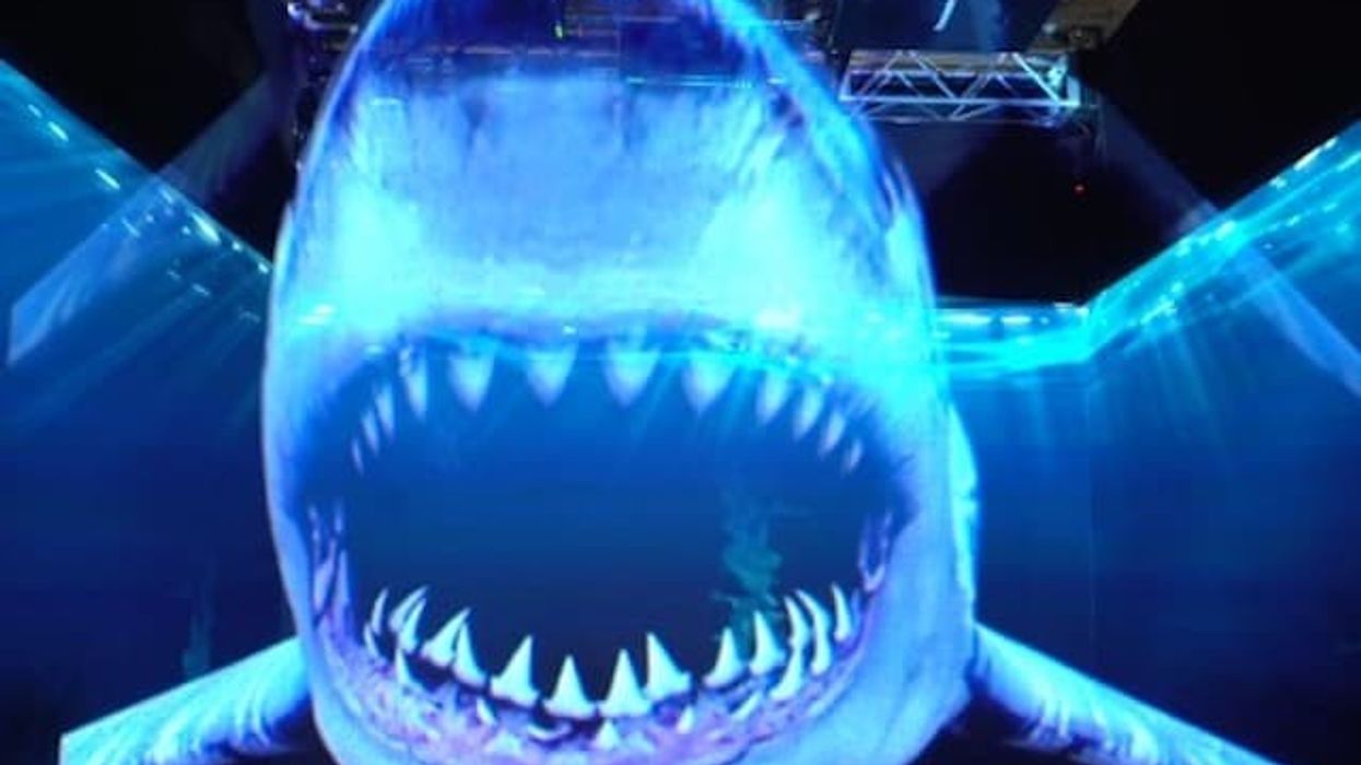 Panasonic XR Labs shark