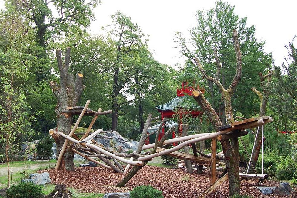 panda garden dan pearlman