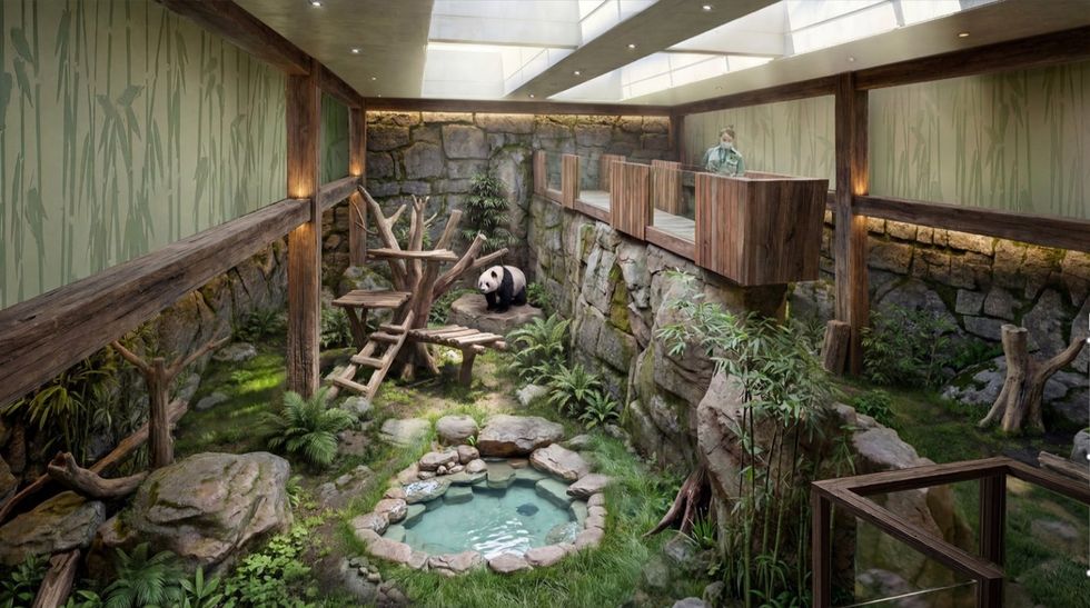 Panda in a lush indoor enclosure at Ocean Park with trees, rocks, and a small pond.