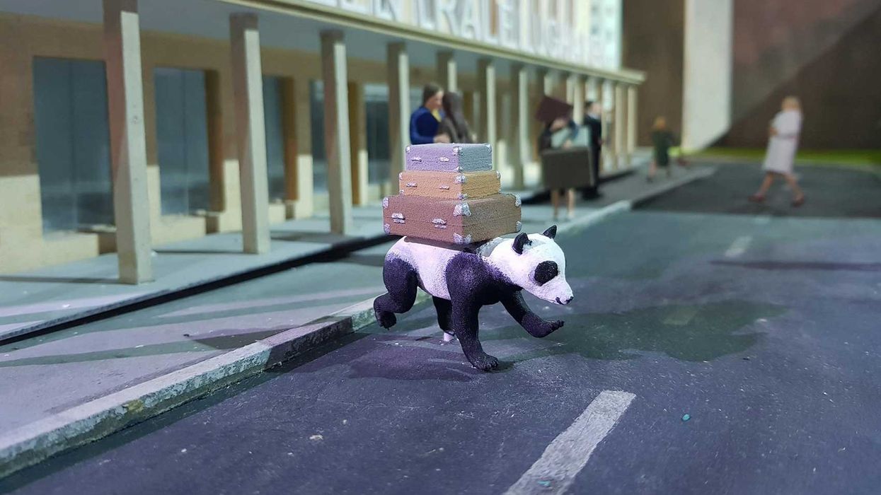 Panda Little BIG City Sea Life