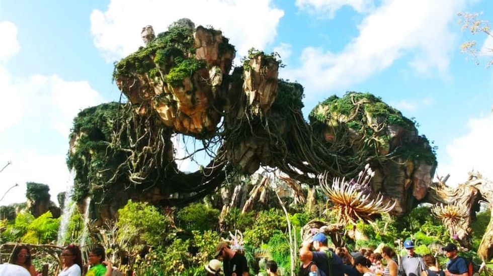Pandora Disney Animal Kingdom