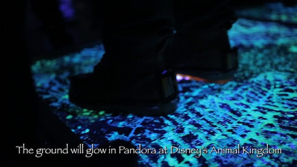 Pandora World of AVATAR Glowing ground Disney