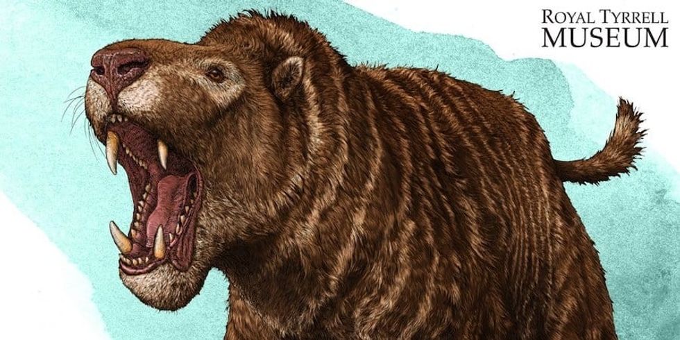 pantodont cenozoic royal tyrrell museum