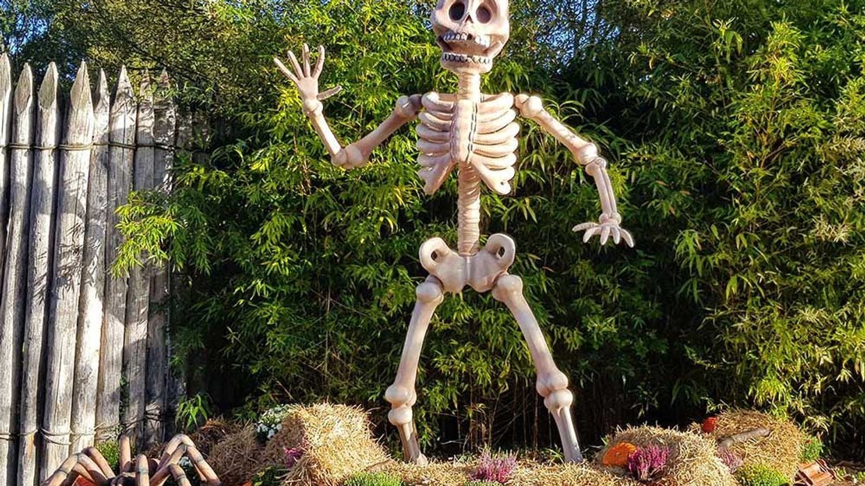 Parc Saint Paul celebrates Halloween with Tema Design by MK Illumination