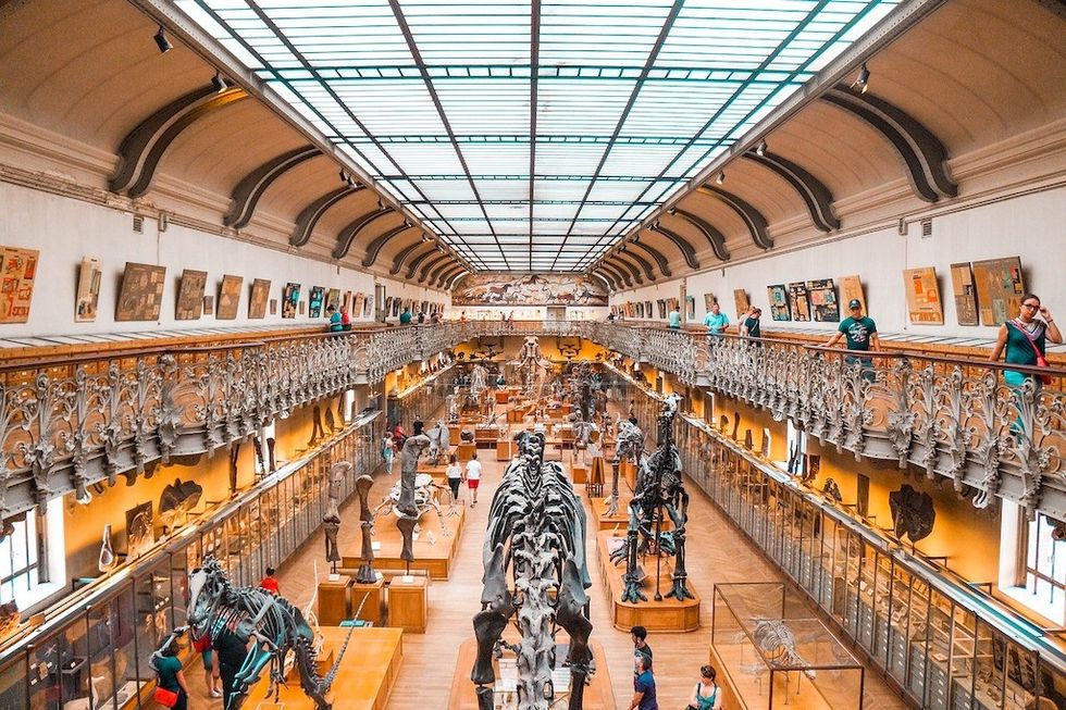 Paris Natural History Museum
