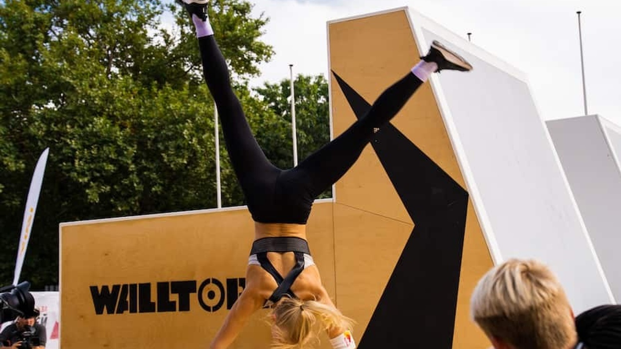 parkour track walltopia