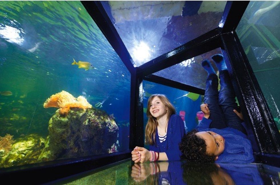 Parks Resorts Scandinavia Aquaria