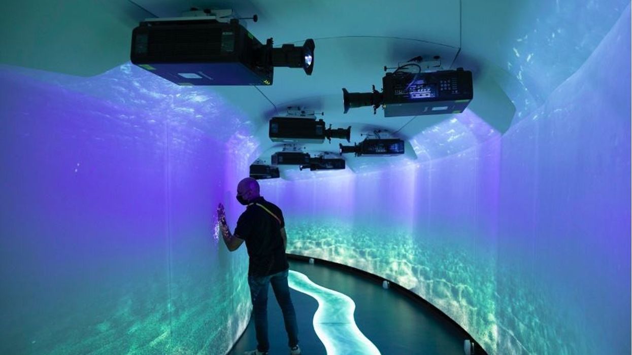 Part of the Aqua Roots of Hungary exhibition at Expo 2020 Dubai