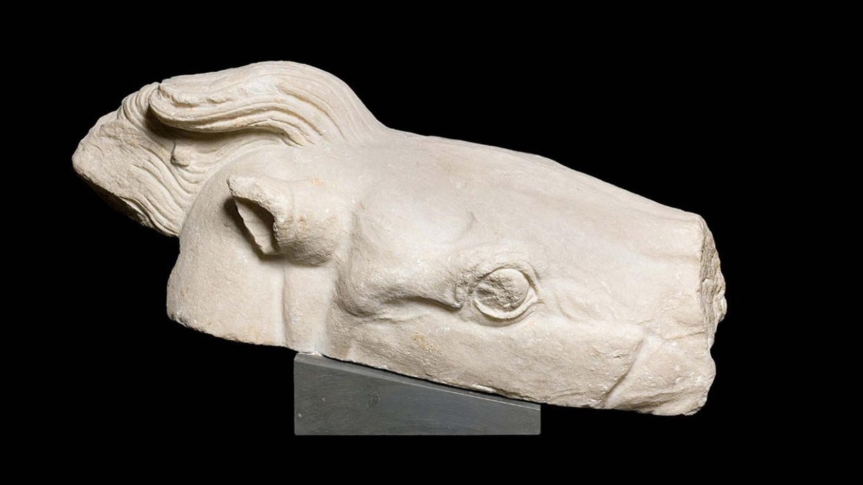 parthenon marbles horse's head
