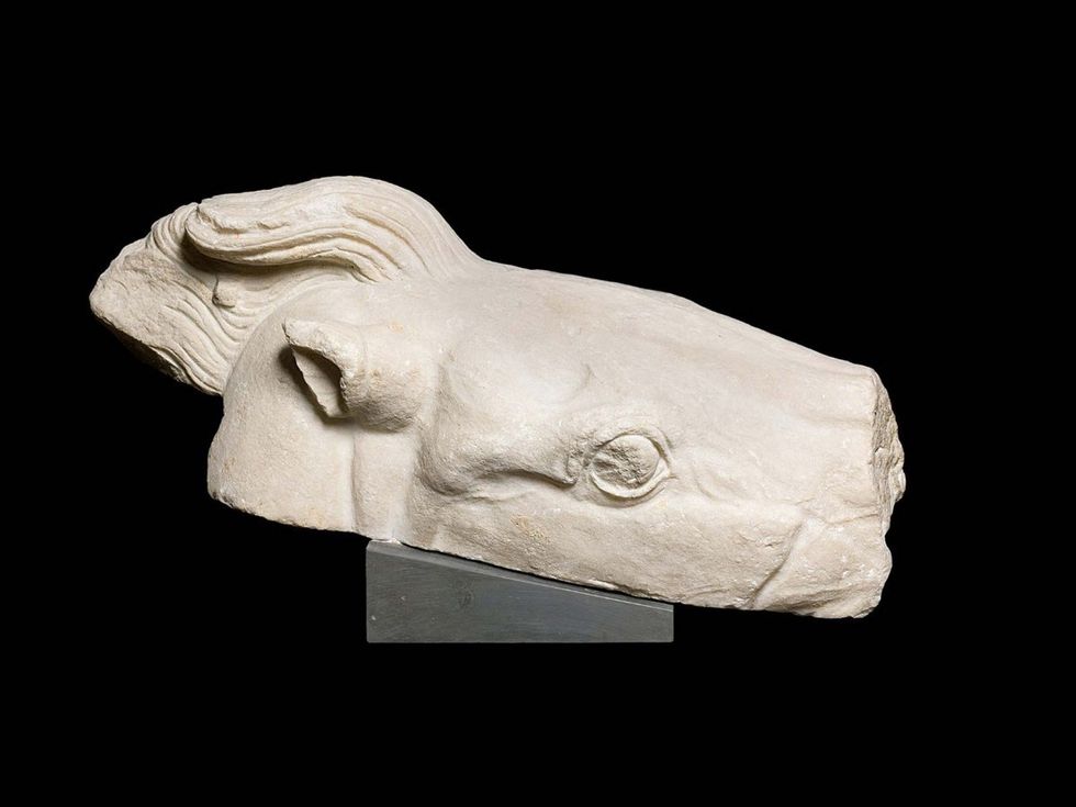 parthenon marbles horse's head