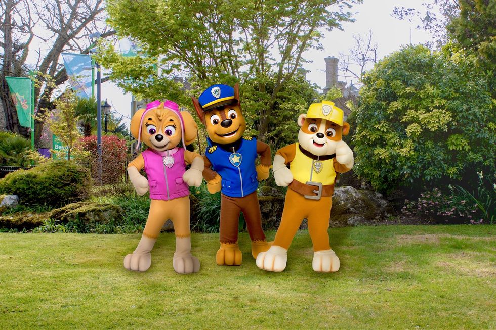 paw patrol chessington