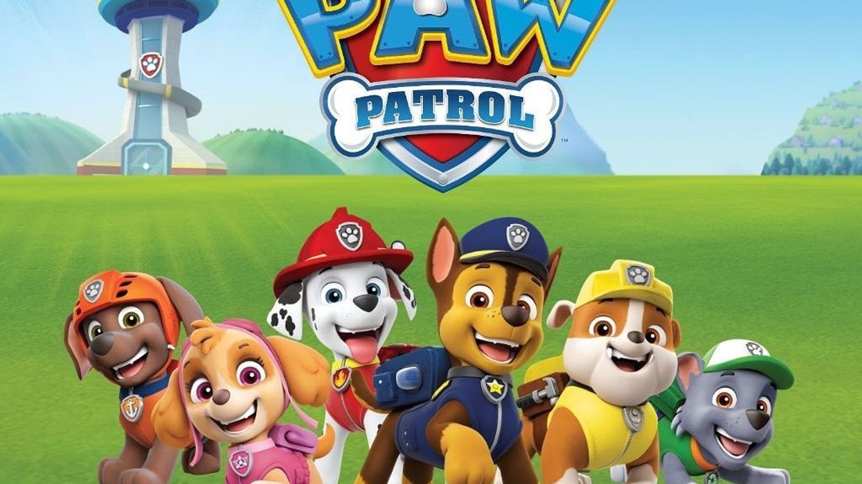 paw patrol immersive gamebox