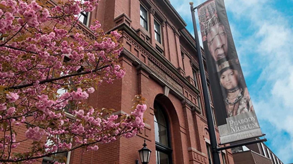 peabody museum harvard