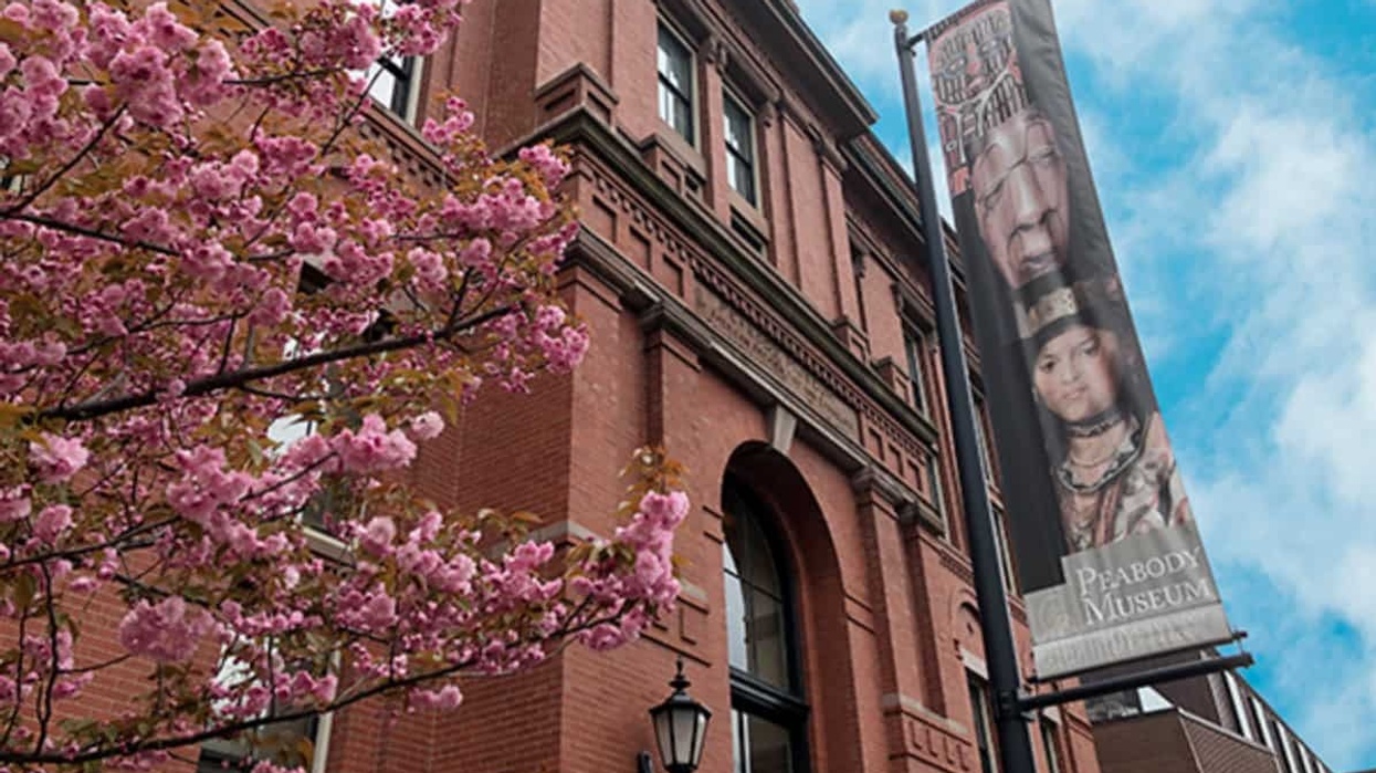 peabody museum harvard