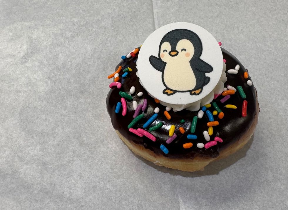 penguin donut florida aquarium
