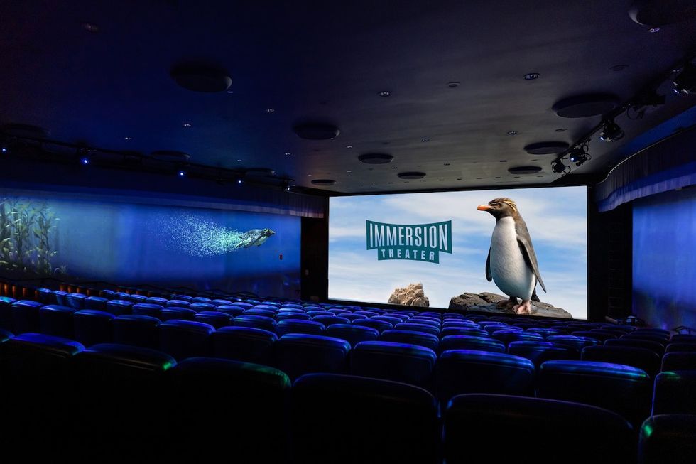 Penguin on screen of immersion theatre