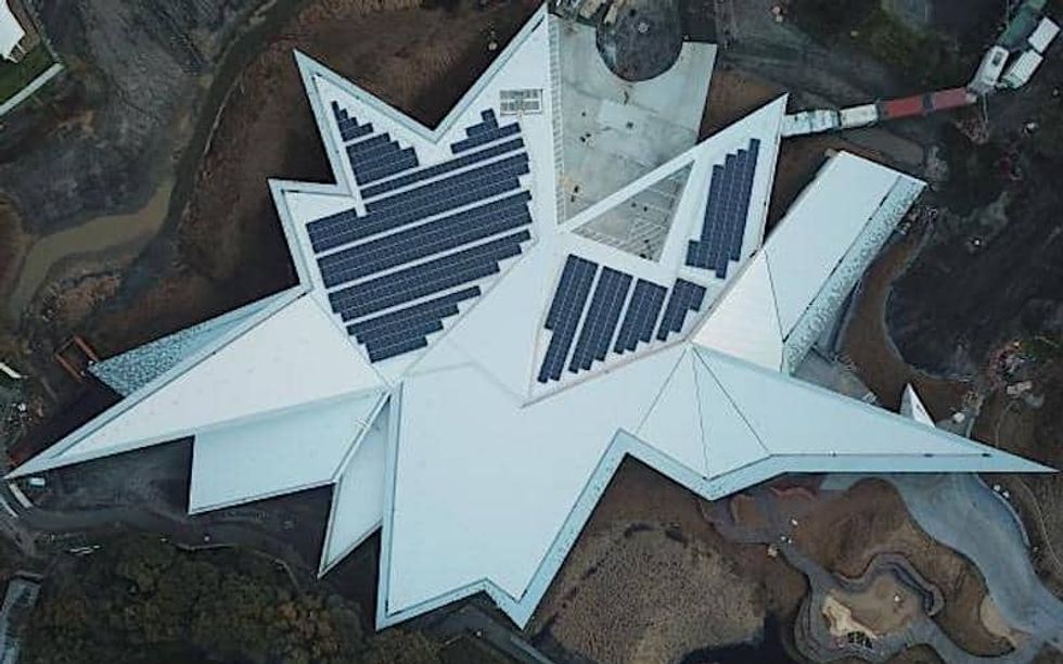 penguin parade phillip island