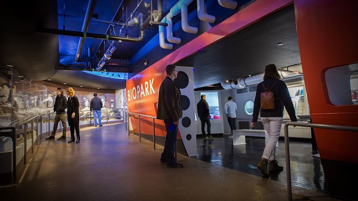 Penguins Exhibition at the Albuquerque BioPark