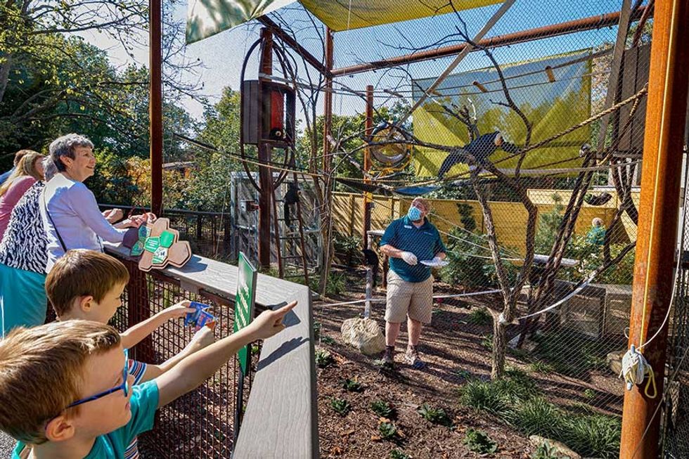 People at an exhibit at Saint Louis Zoo