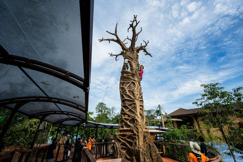 People climb a tall, artificial tree structure under a blue sky at Rainforest Wild Adventure in Singapore