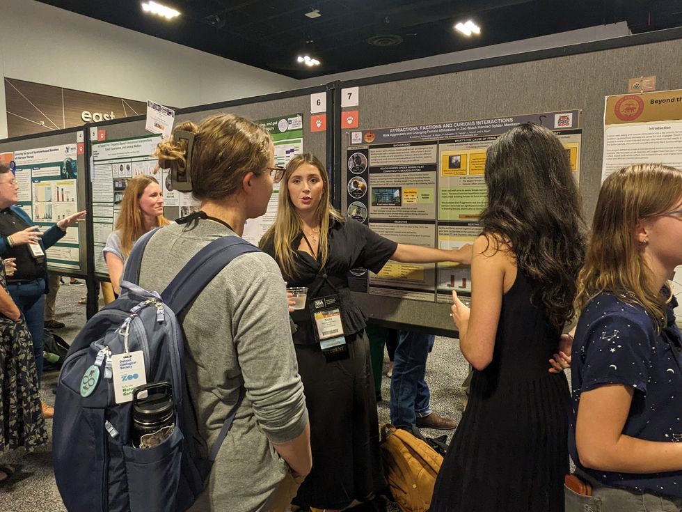 People discussing in front of scientific posters at a conference.