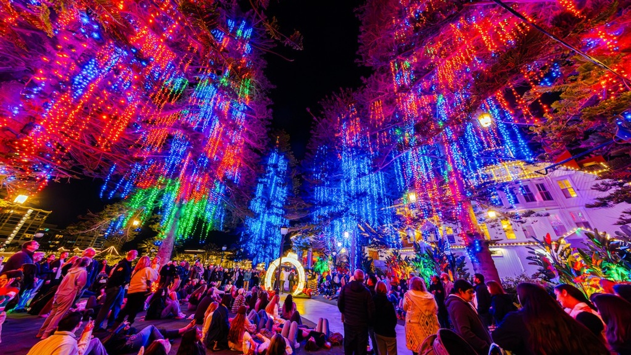 People enjoying vibrant, colorful LED lights on trees at a nighttime outdoor event.