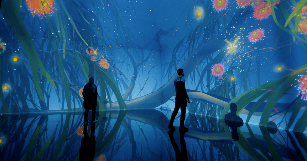 People explore a digital art space with vibrant aquatic plant visuals, TYAMA at Melbourne Museum