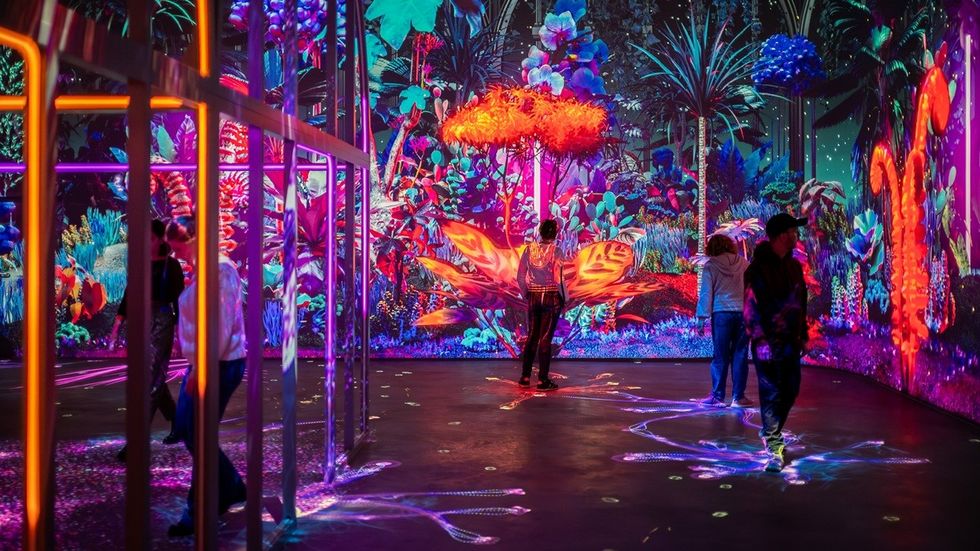 People explore a vibrant, immersive digital jungle installation.