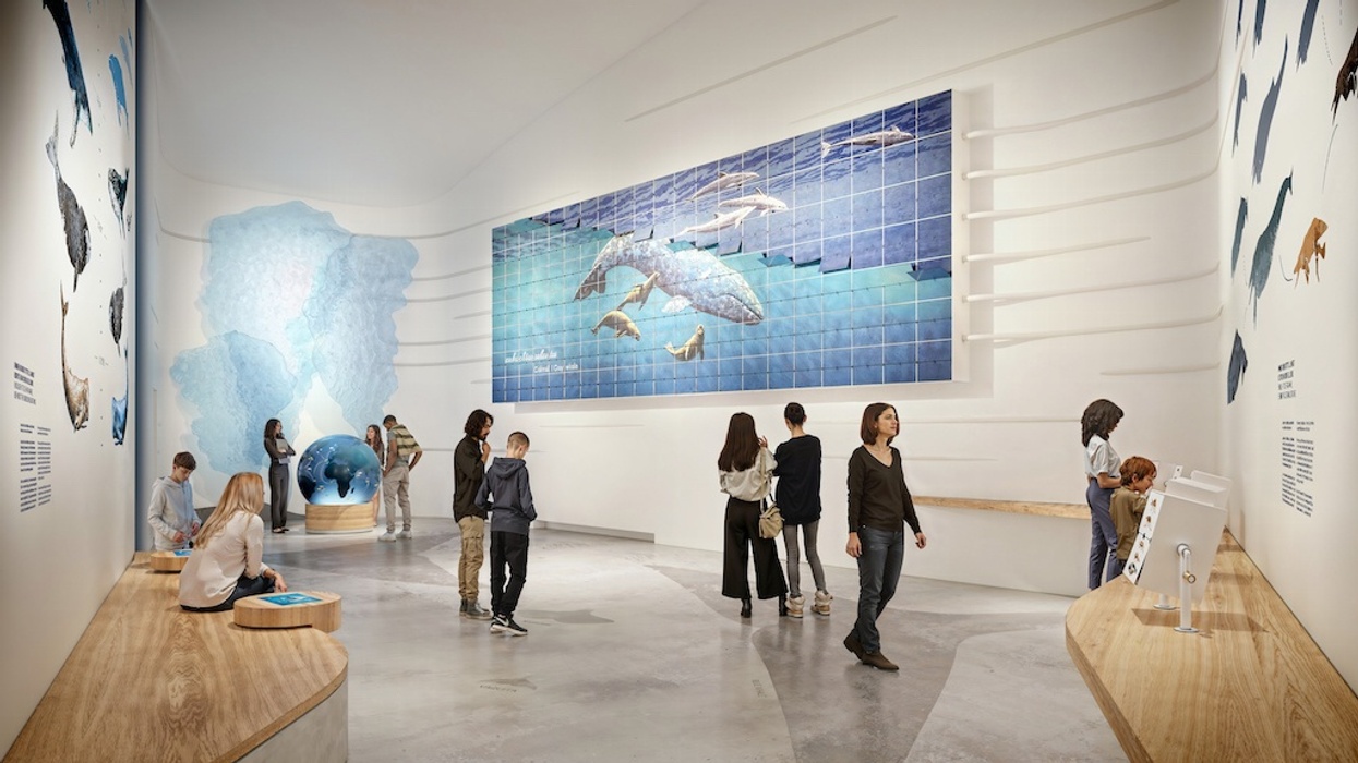 People exploring an interactive ocean-themed museum exhibit with marine life displays, rendering for The Whale, Norway