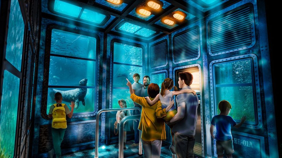 People in a blue underwater-themed room observing a seal through large windows.