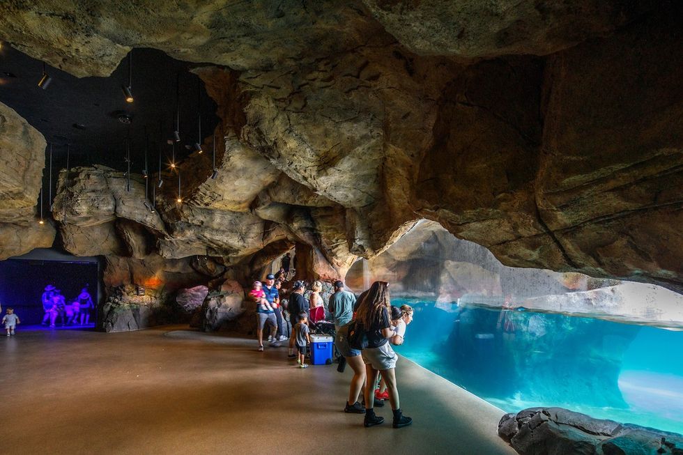 People in a rocky, cave-like aquarium viewing area with clear water and blue lighting.