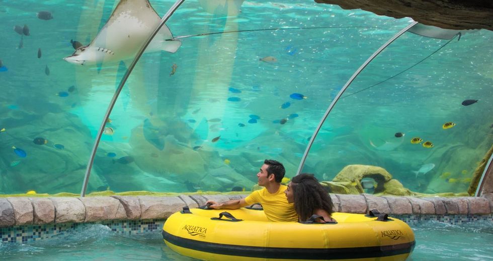 People in a yellow raft float past an aquarium tunnel with a stingray and colorful fish at Aquatica