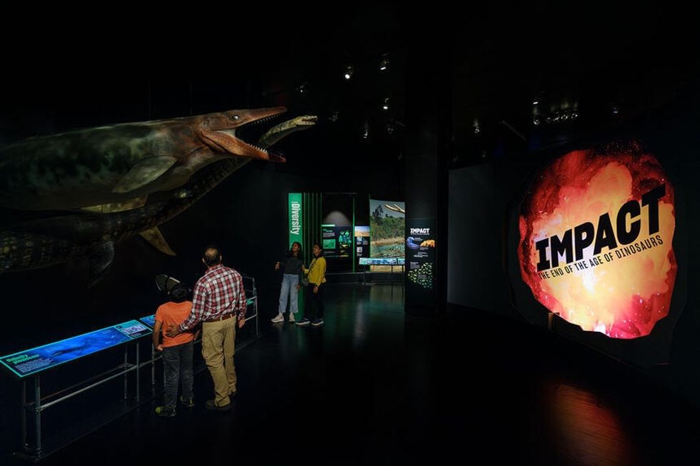 People in travelling dinosaur exhibit from AMNH with "IMPACT" sign and large marine reptile display.