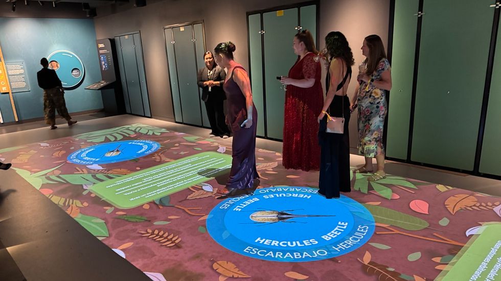 People interacting with a Hercules beetle floor exhibit in a dimly lit room at the National Geographic Museum of Exploration