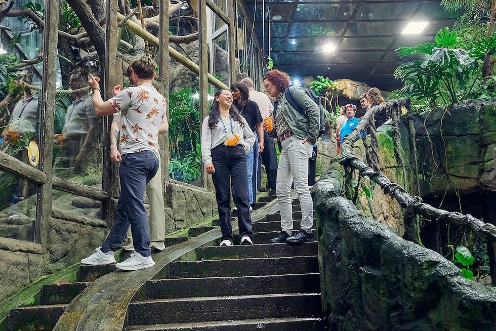 People laughing and talking inside Universeum's rainforest area