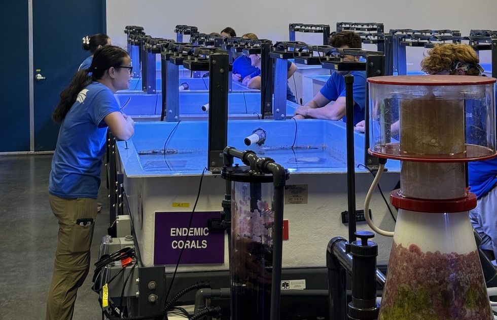 People observe tanks labeled "Endemic Corals" in a laboratory setting.