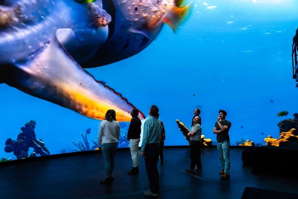 People observing a large underwater projection at a Cosm venue with colorful marine life overhead.
