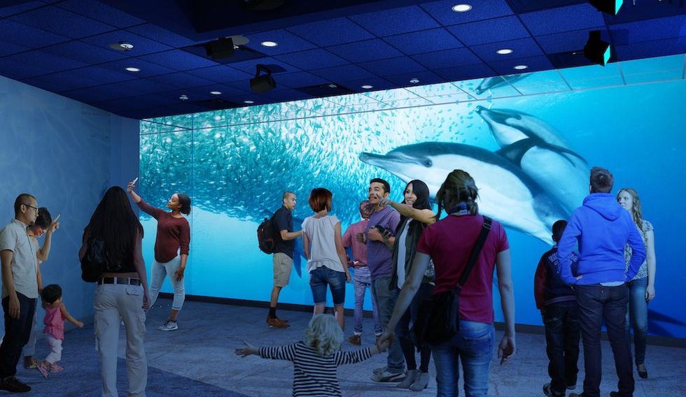 People observing dolphins on a large aquarium screen.