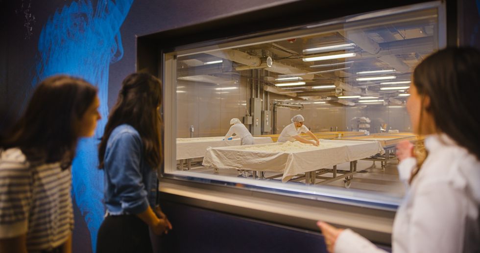 People observing workers handling dough through a large window in a factory setting.
