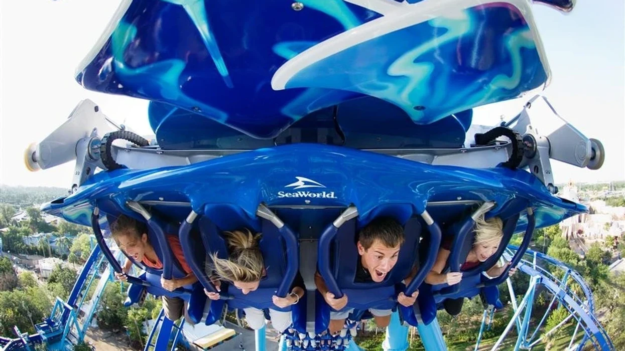 People riding an inverted roller coaster at SeaWorld, suspended upside down.