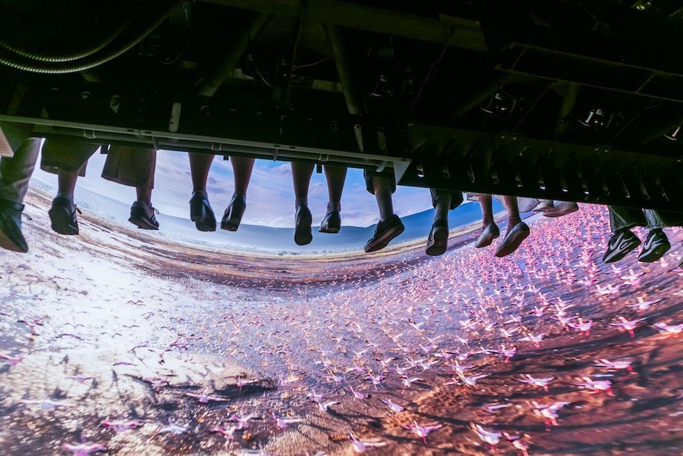 People's feet dangling above a screen showing a landscape with birds, Air Cruise the Ride - Huis Ten Bosch