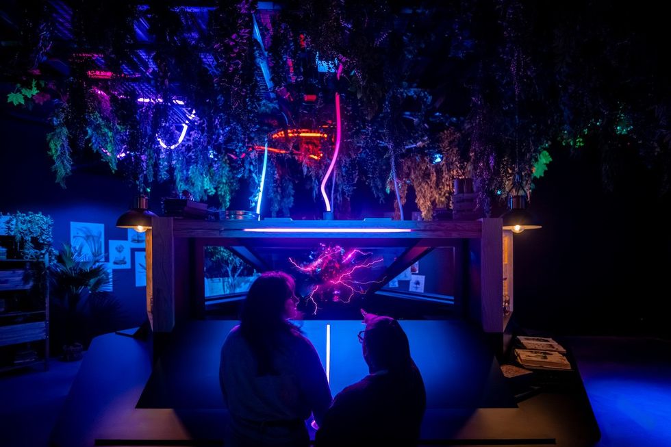 People stand under colorful neon lights and foliage in a dimly lit room.