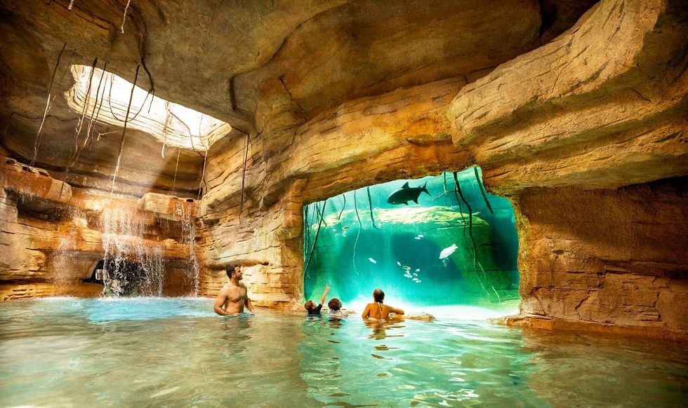 People swimming in a cave pool, with a view of an aquarium window showing fish and a shark.
