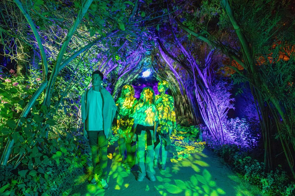 People walk through a vivid, colorful, illuminated forest tunnel at Terra Botanica